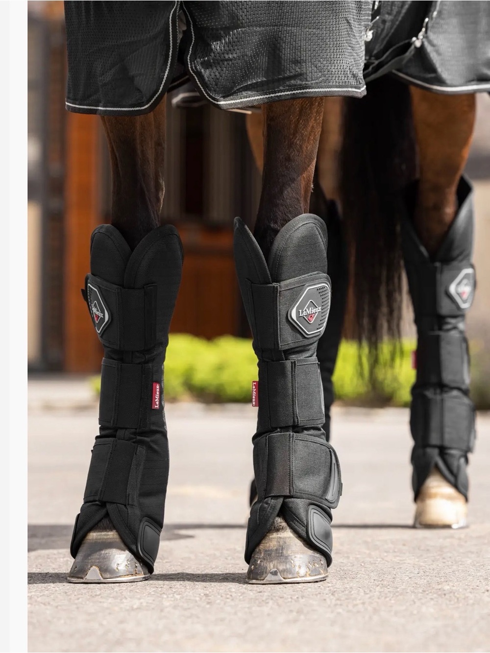 LeMieux NIB Shipping Boots